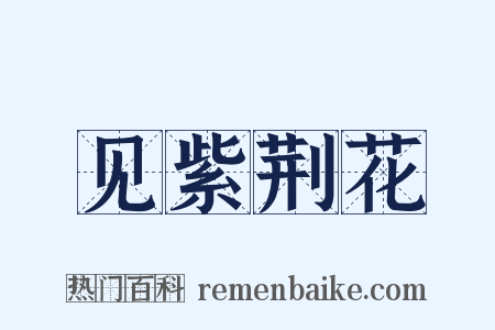 见紫荆花是什么意思的图片